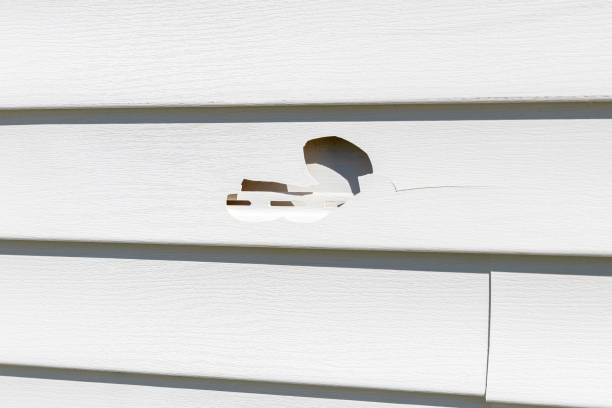 Affordable Siding Repair and Maintenance Services in Heber Overgaard, AZ